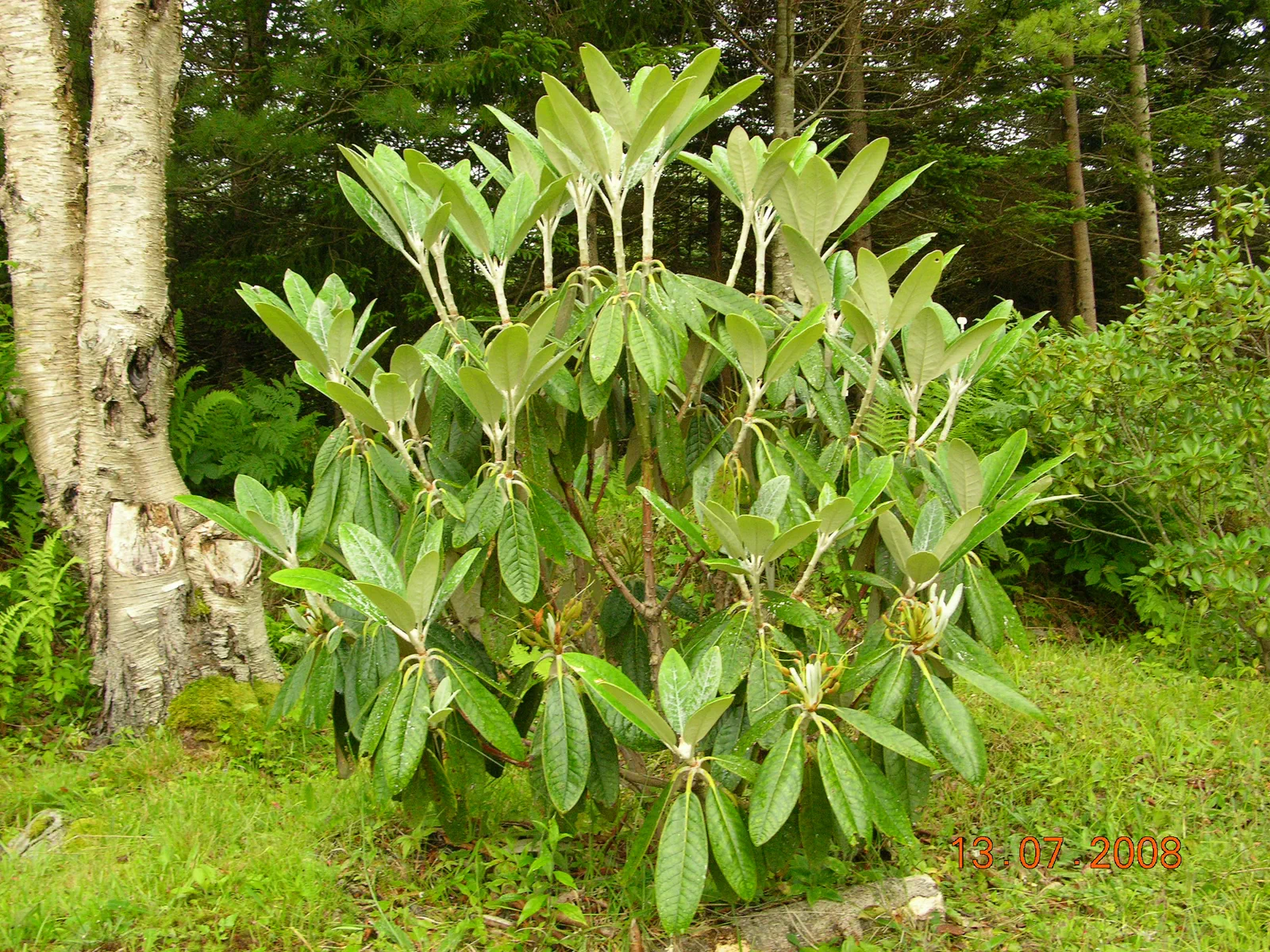 R. 'Scotian Sovereign' photo of R. 'Scotian Sovereign'. Location: Argyle, Yarmouth Co., Nova Scotia. Photo by: John Weagle